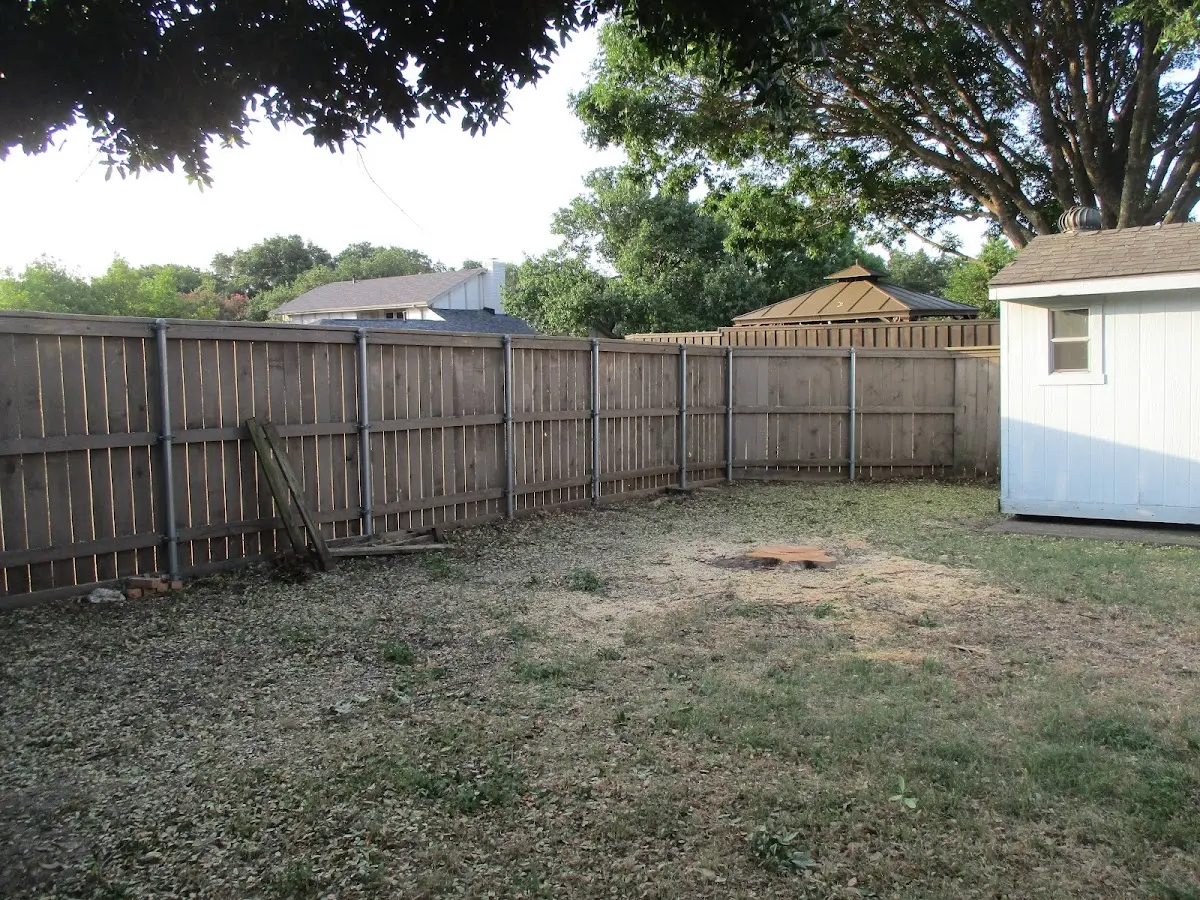 Cleared yard after professional tree removal in Deering